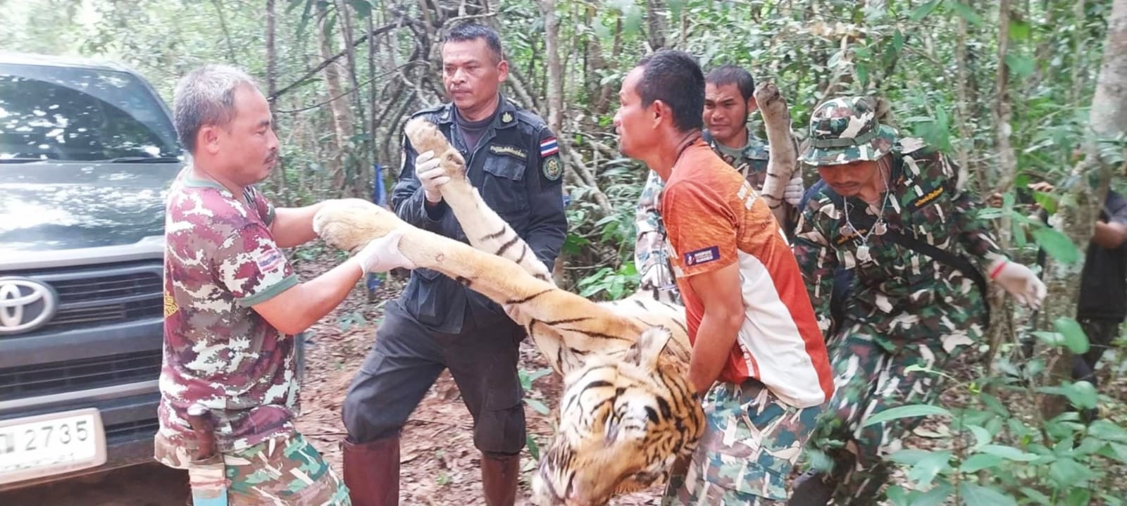 WhatsApp Image 2024-09-01 at 19.34.39_55cfb580